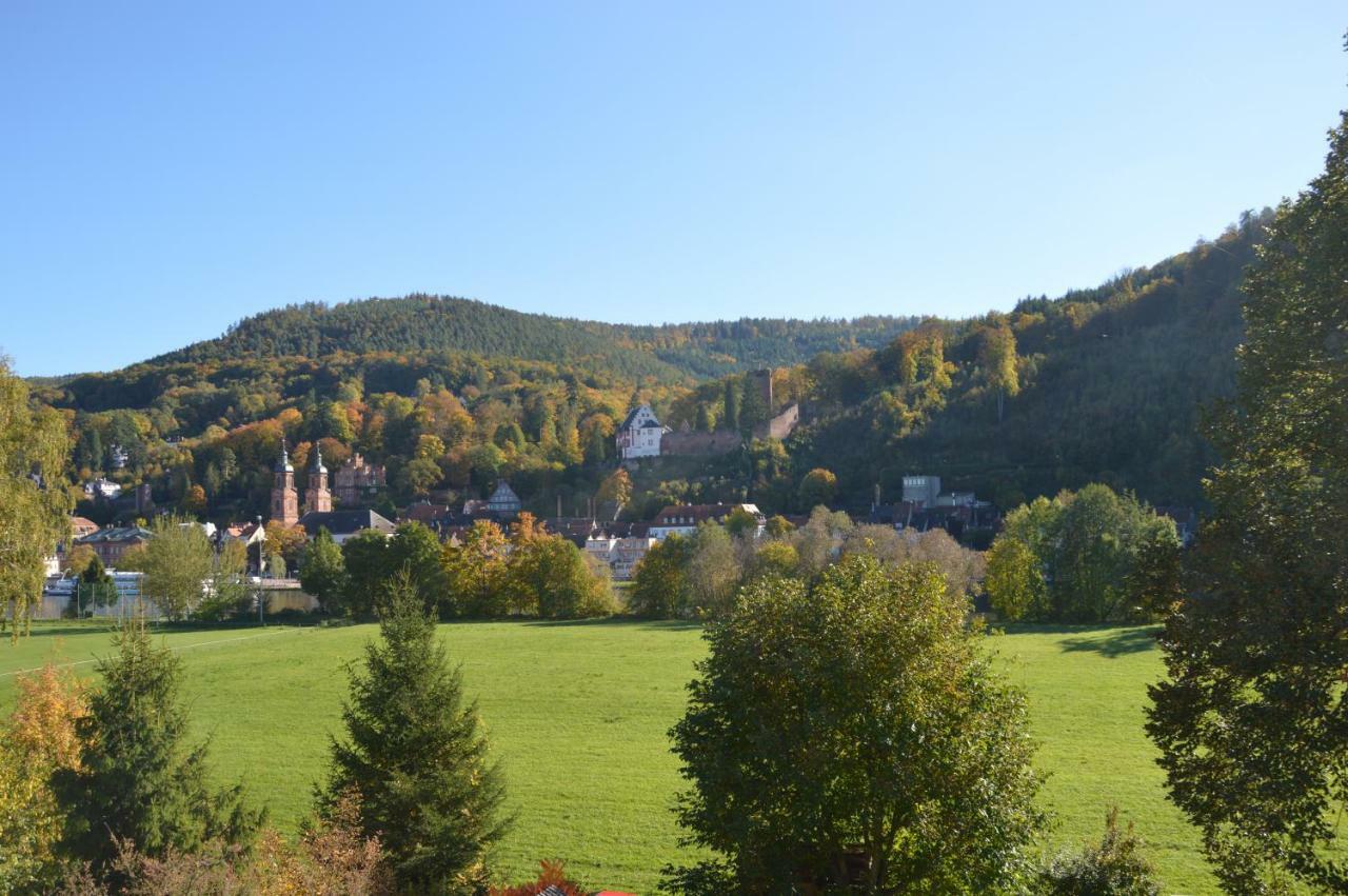 Panorama-Blick Miltenberg, 3 Pers., Zentr., Am Main, Terrasse, Bootverleih, P Apartment Exterior photo