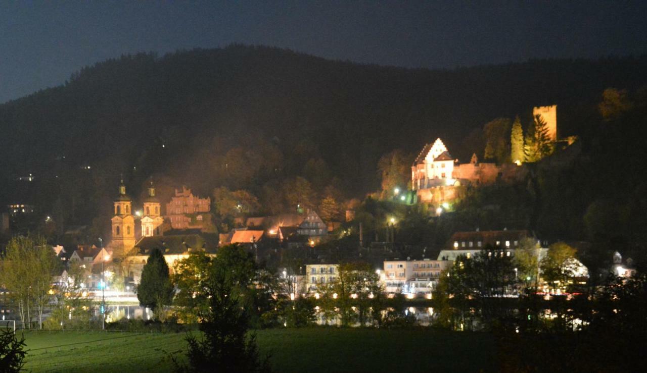 Panorama-Blick Miltenberg, 3 Pers., Zentr., Am Main, Terrasse, Bootverleih, P Apartment Exterior photo