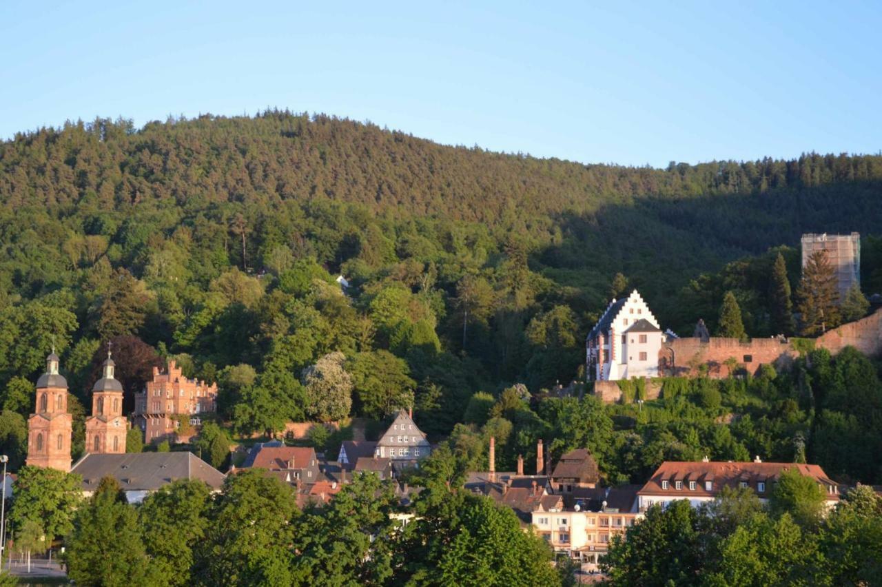 Panorama-Blick Miltenberg, 3 Pers., Zentr., Am Main, Terrasse, Bootverleih, P Apartment Exterior photo