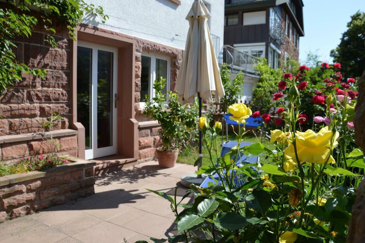 Panorama-Blick Miltenberg, 3 Pers., Zentr., Am Main, Terrasse, Bootverleih, P Apartment Exterior photo